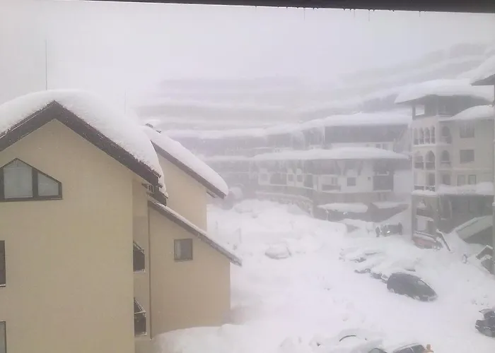 In Complex Monastery 1 *